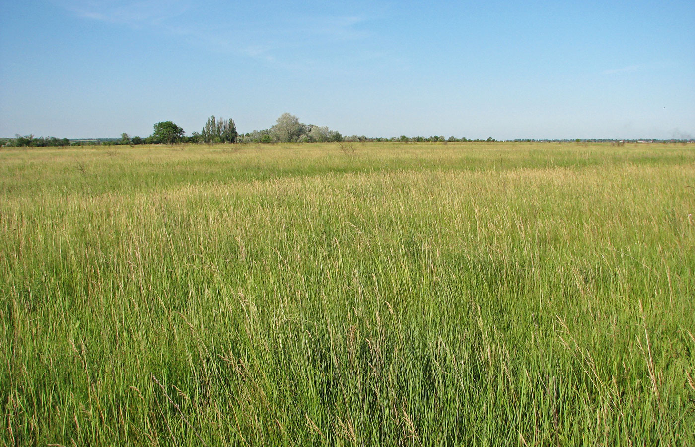 Белосарайская коса, image of landscape/habitat.