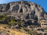 Image of landscape