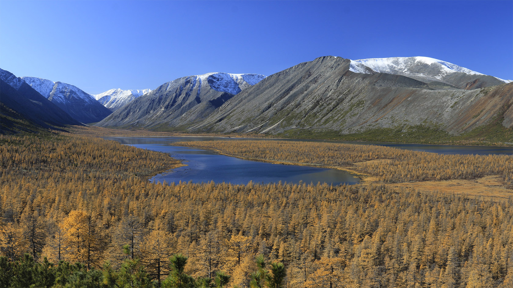 Озеро Юг, image of landscape/habitat.