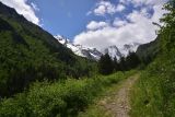 Image of landscape