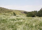 Image of landscape