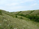 Лысогорка, image of landscape/habitat.