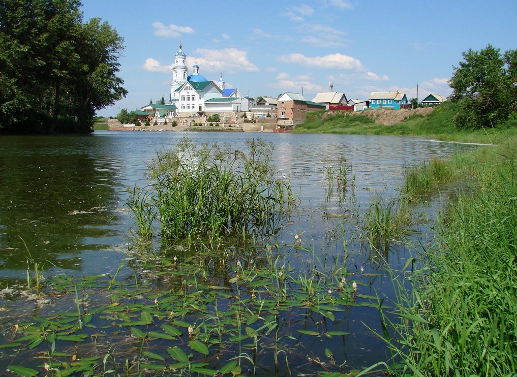 Тельма, image of landscape/habitat.