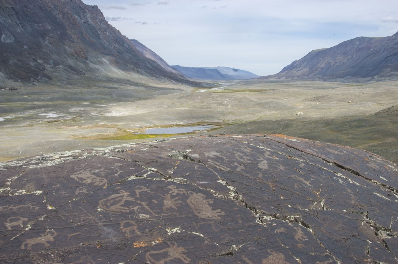 Устье Налиа-Гол, image of landscape/habitat.