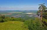 Белокуриха и окрестности, image of landscape/habitat.