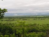 Хвалынка, image of landscape/habitat.