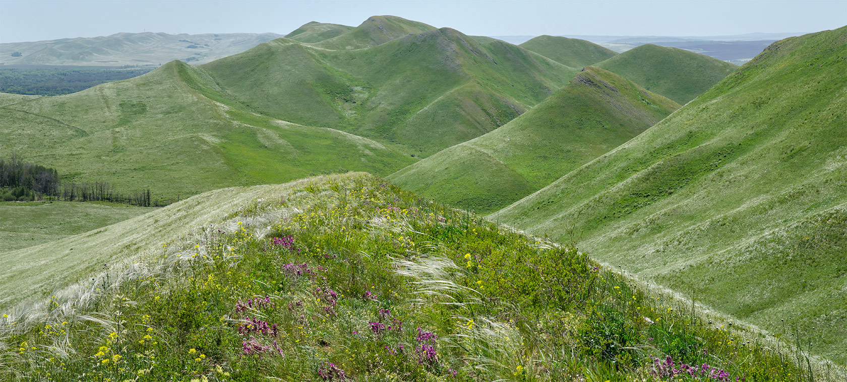 Гора Нос, image of landscape/habitat.