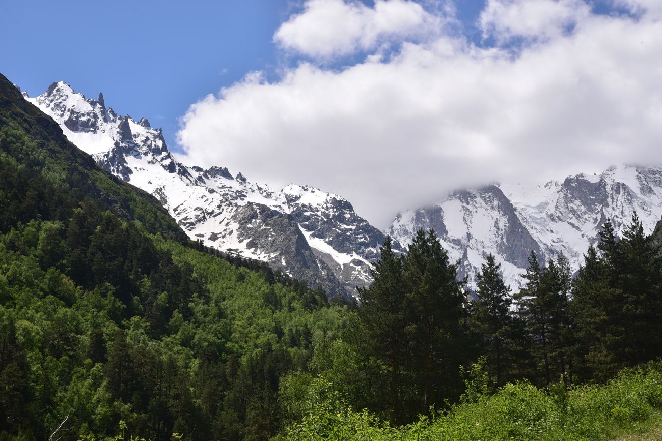 Долина реки Шхельда, image of landscape/habitat.