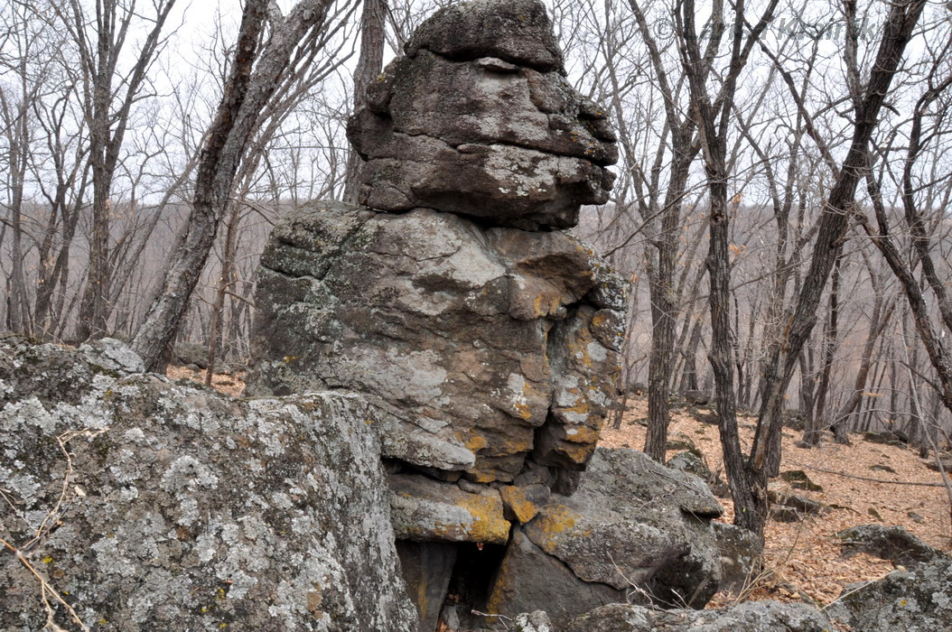 Монакино, image of landscape/habitat.