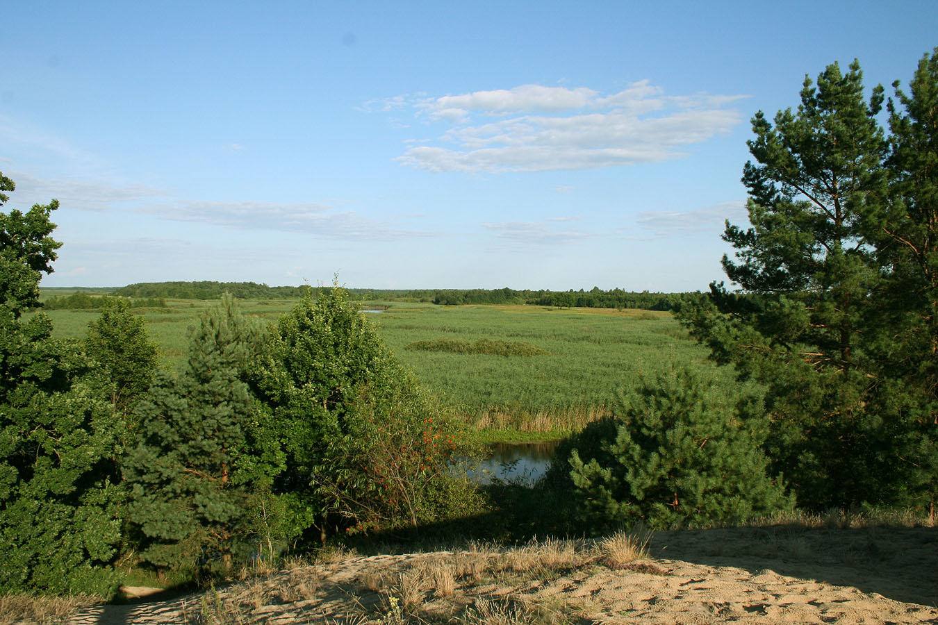 Муравина, image of landscape/habitat.