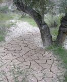 Image of landscape