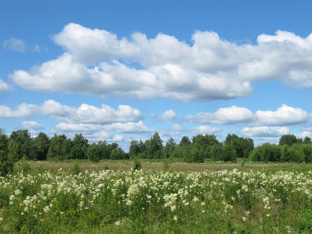 Еляты, image of landscape/habitat.