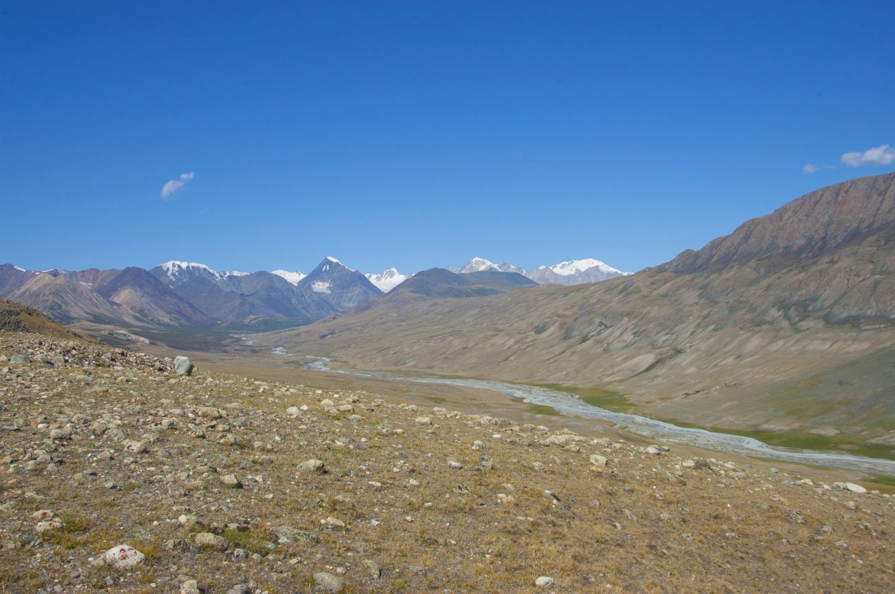 Река Цаган-Сала-Гол, image of landscape/habitat.