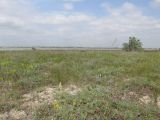 Image of landscape