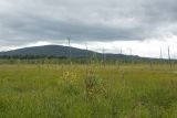 Image of landscape