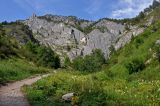 Image of landscape