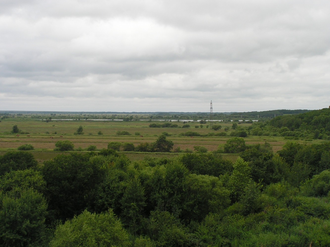 Хвалынка, image of landscape/habitat.