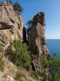 Image of landscape
