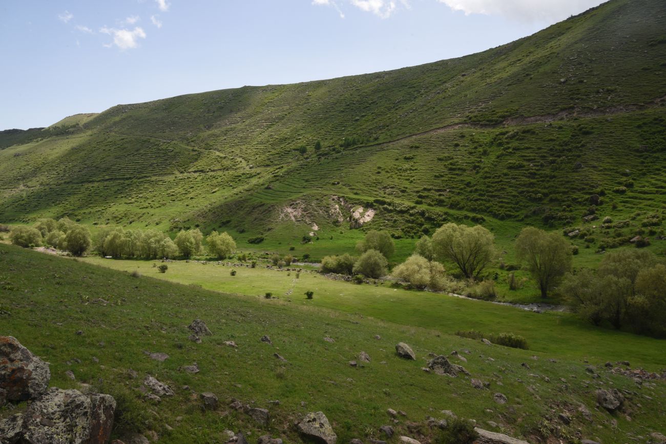 Окрестности монастыря Хцконк, image of landscape/habitat.