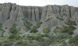 Image of landscape