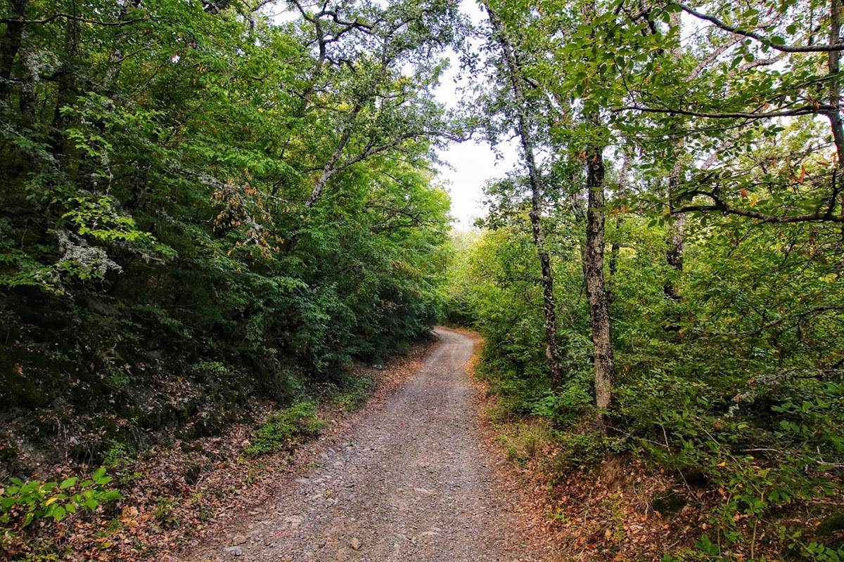 Аюдаг, image of landscape/habitat.