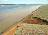 Волгоградское водохранилище, изображение ландшафта.