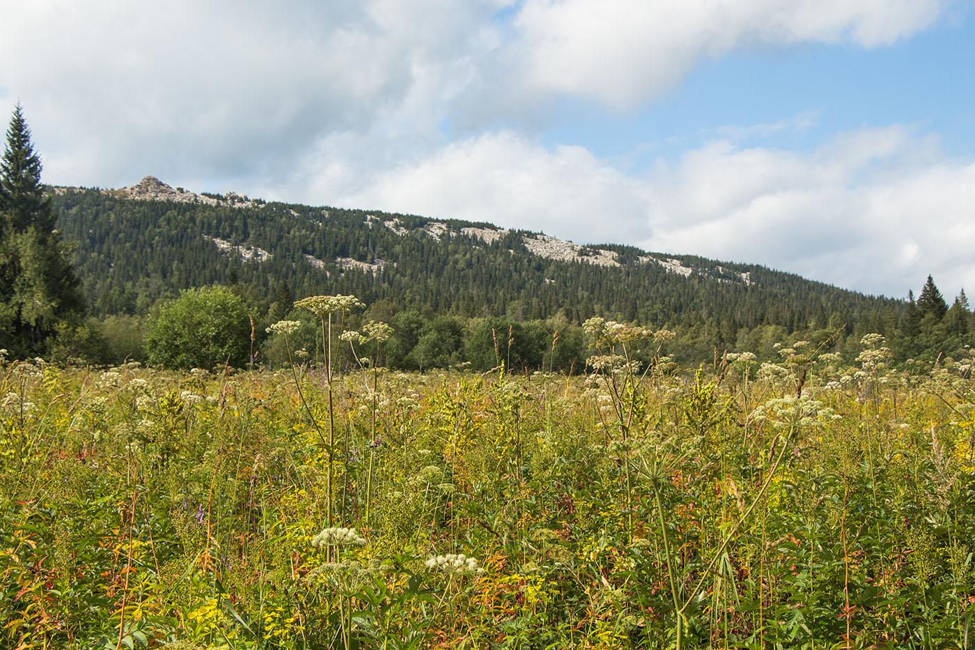 Хребет Зюраткуль, image of landscape/habitat.