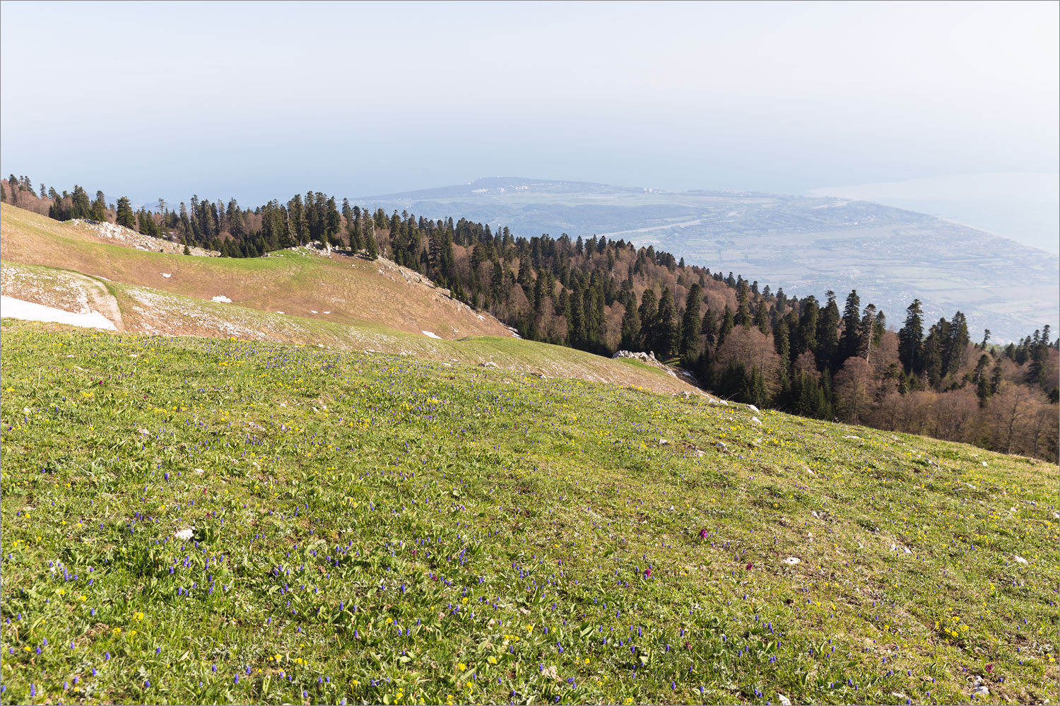 Мамдзышха, image of landscape/habitat.