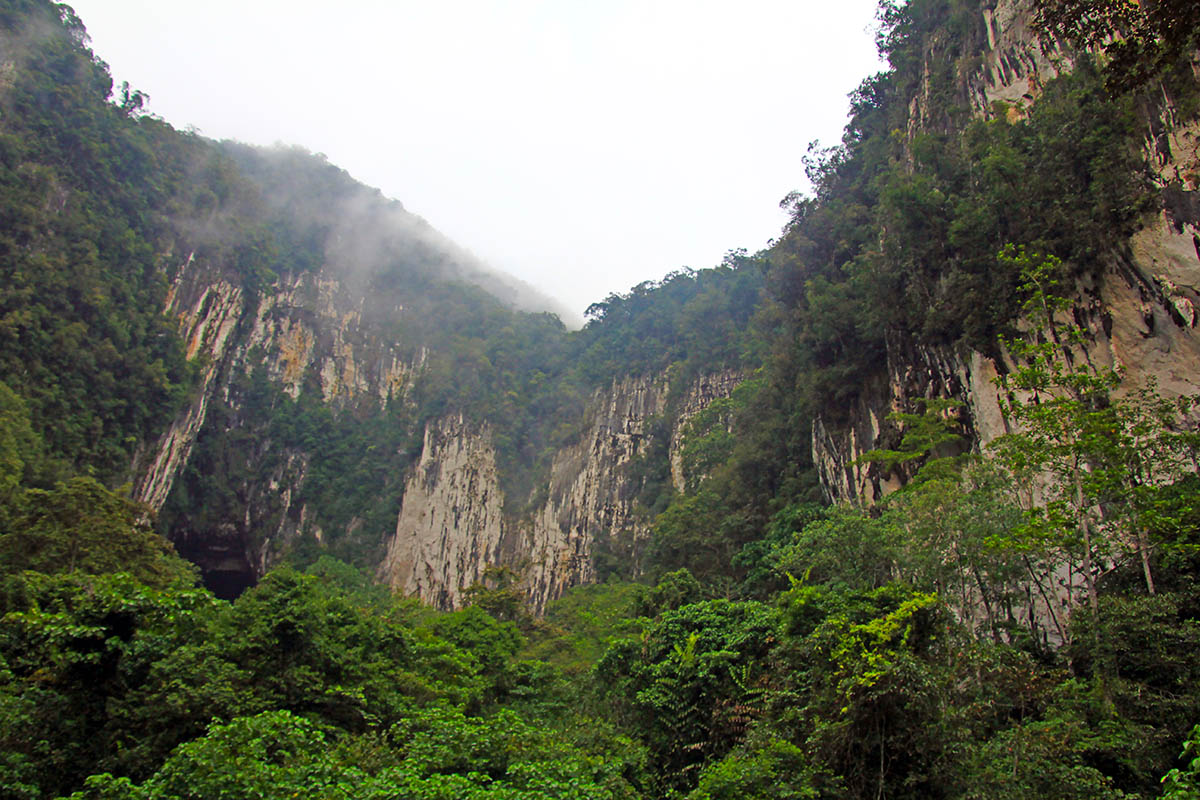 Национальный парк «Мулу», image of landscape/habitat.