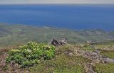 Image of landscape