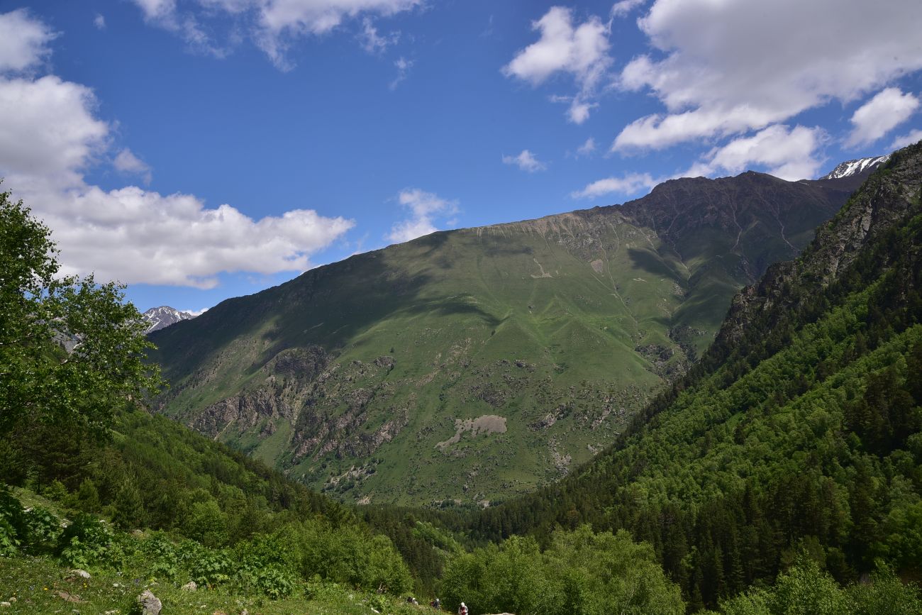 Долина реки Шхельда, image of landscape/habitat.