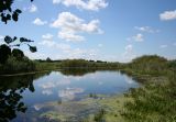 Image of landscape
