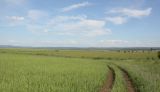 Image of landscape