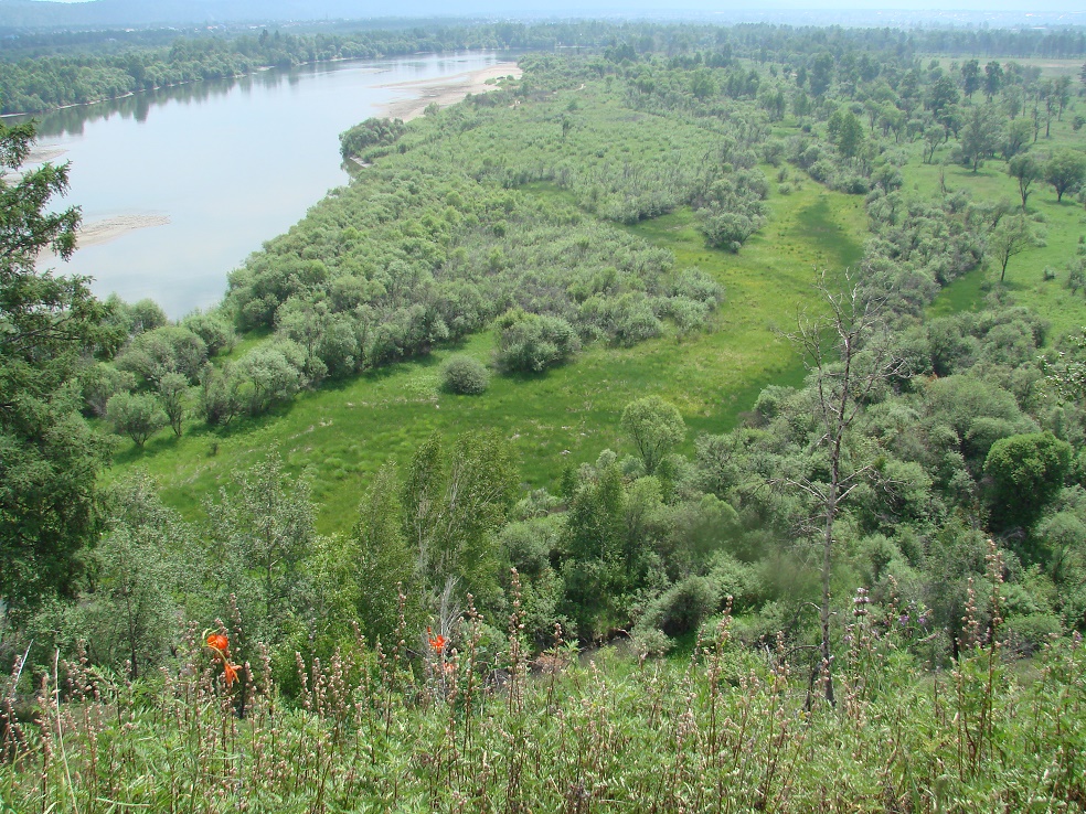 Долина реки Иркут, изображение ландшафта.