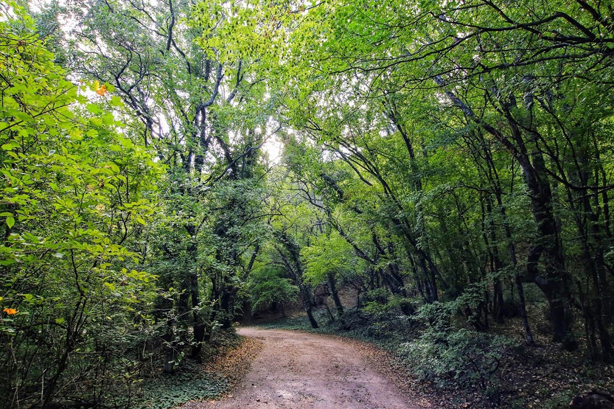 Аюдаг, image of landscape/habitat.