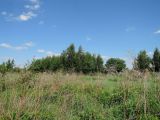 Image of landscape