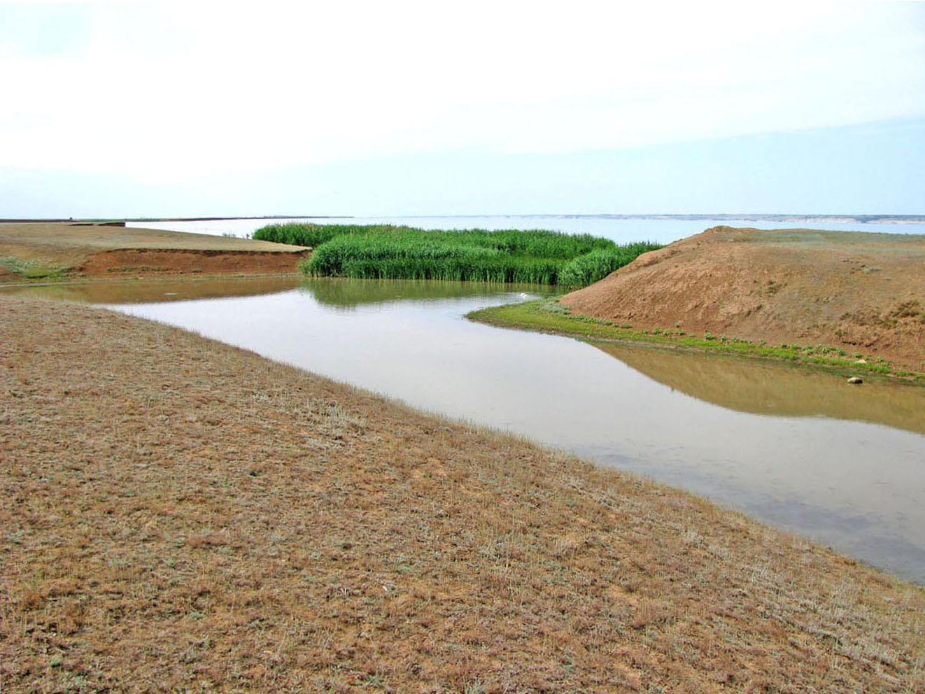 Волгоградское водохранилище, image of landscape/habitat.