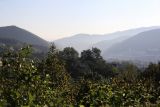 Image of landscape