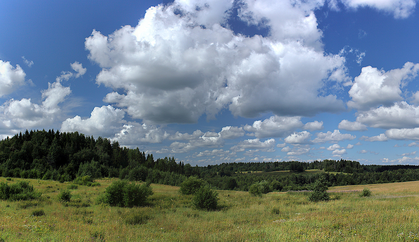 Окрестности Ихалы, image of landscape/habitat.