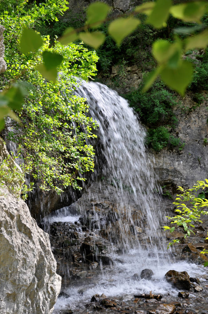 Урочище Чечкыш, image of landscape/habitat.