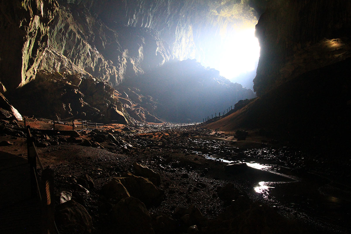 Национальный парк «Мулу», image of landscape/habitat.