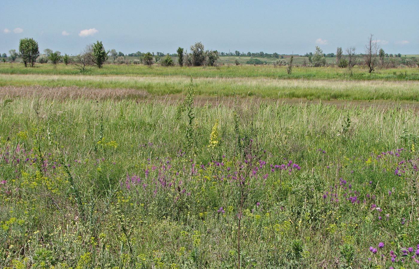 Белосарайская коса, image of landscape/habitat.