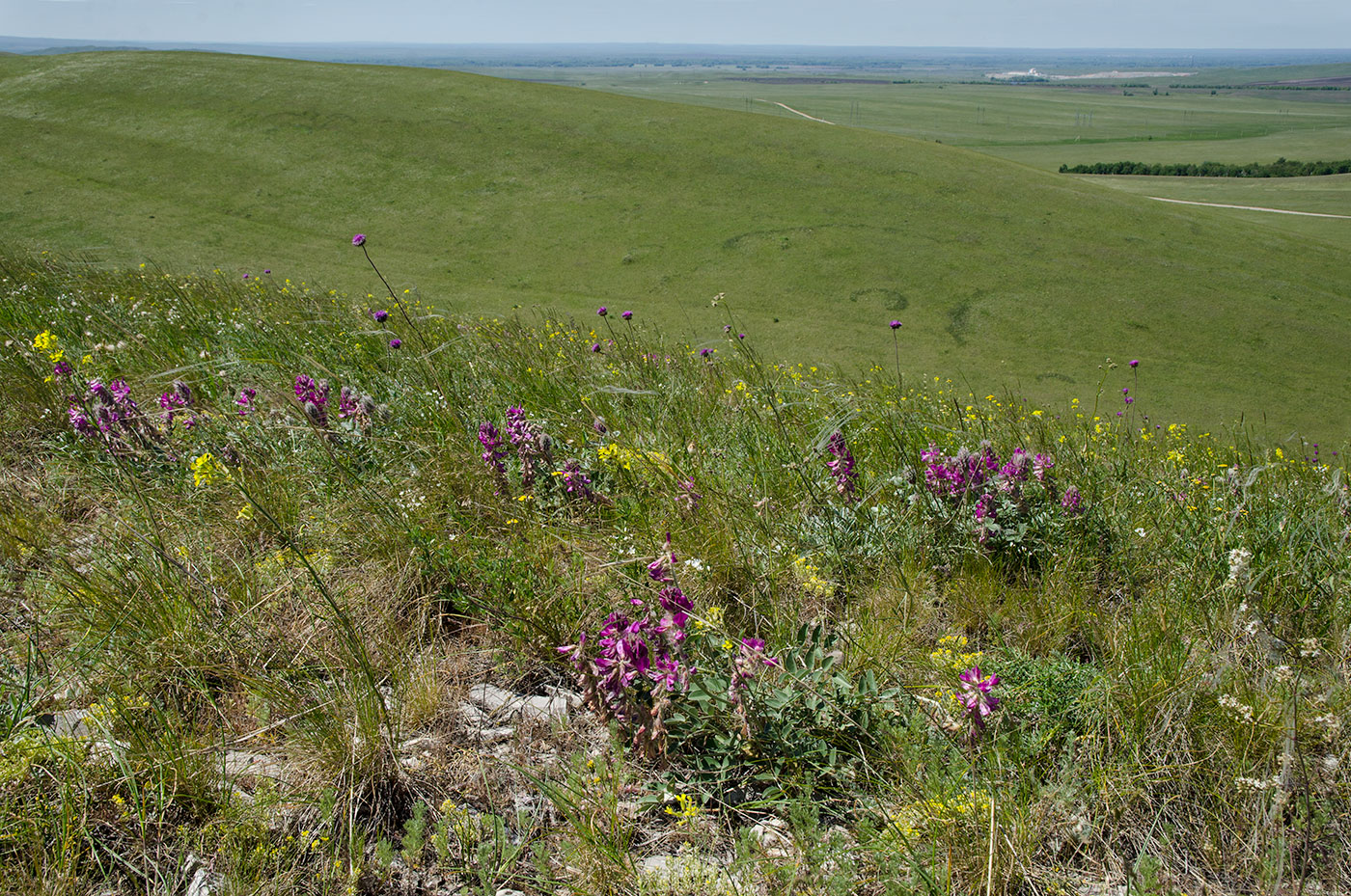 Ногайские горы, image of landscape/habitat.