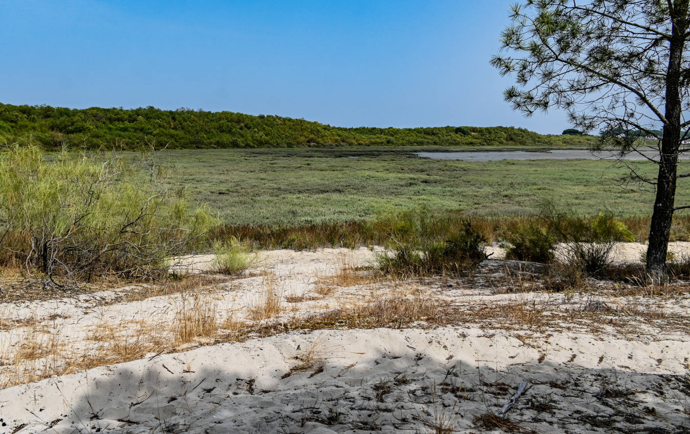 Полуостров Троя, изображение ландшафта.