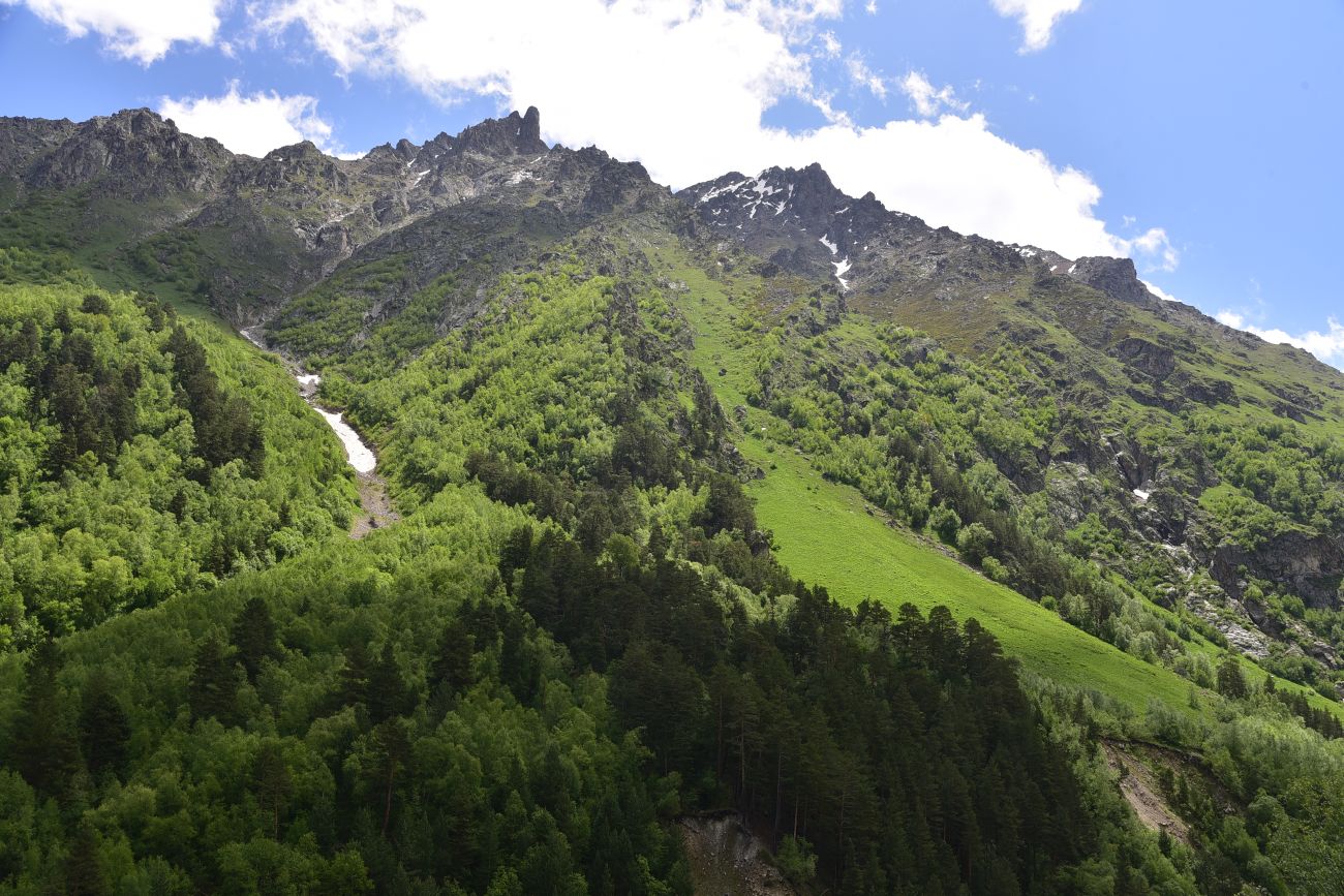 Долина реки Шхельда, image of landscape/habitat.