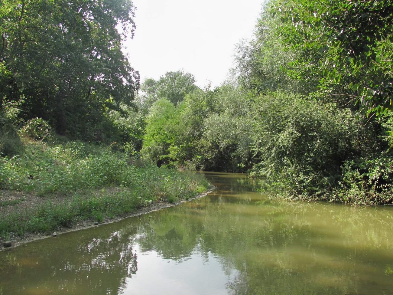 Холмская, image of landscape/habitat.