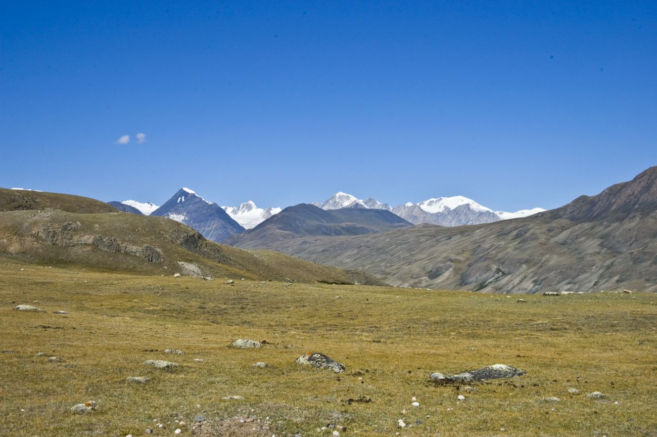 Река Цаган-Сала-Гол, image of landscape/habitat.