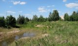 Image of landscape