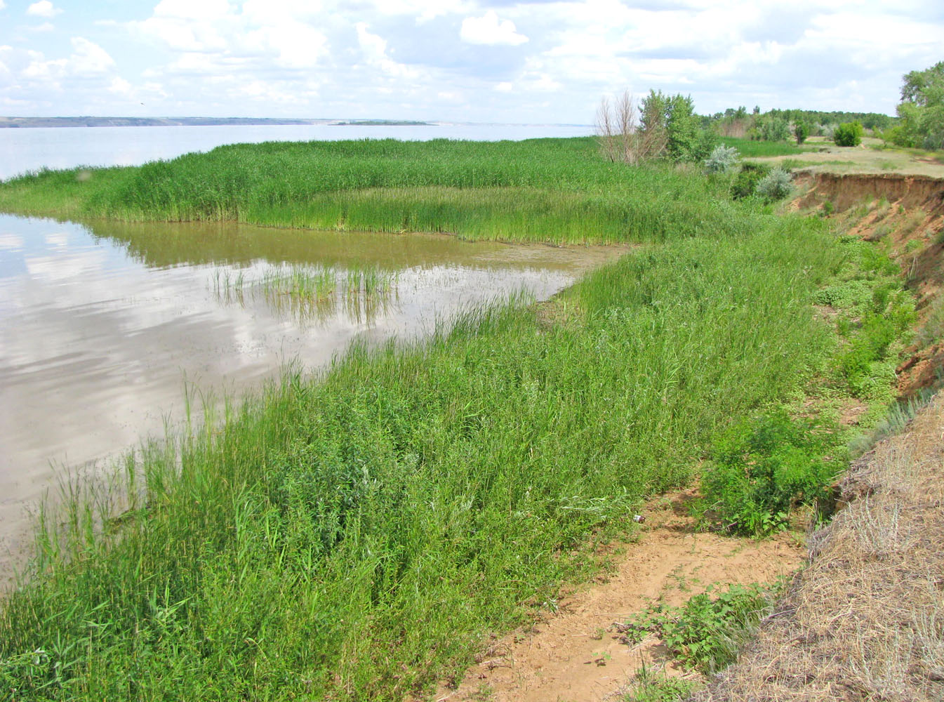 Волгоградское водохранилище, image of landscape/habitat.