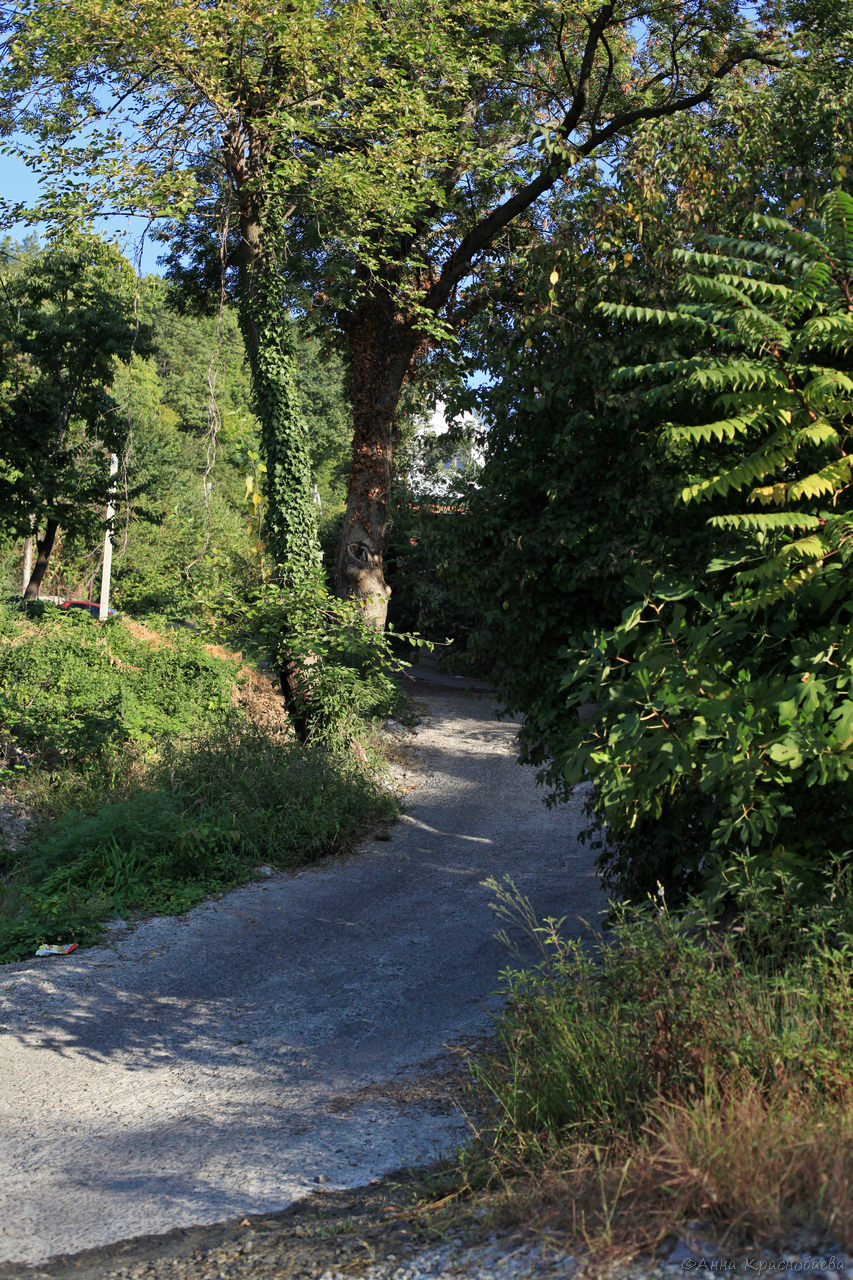 Возвышенность Варваринка, image of landscape/habitat.